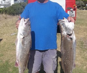 Boet se Baai se kabeljoue